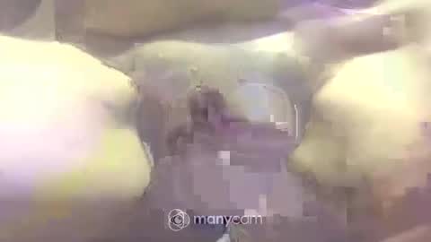 Snapshot of johnnyshung1 chatting on 03.02.25 johnnyshung1 online show from 03.02.25