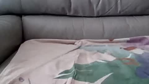 Snapshot of johnpauljones chatting on 03.05.25 bigger than some online show from 03.05.25