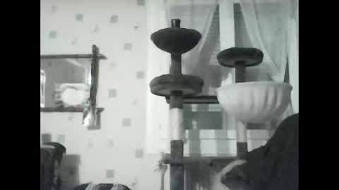 Snapshot of jojo60000529566 chatting on 01.08.25 jojo60000529566 online show from 01.08.25