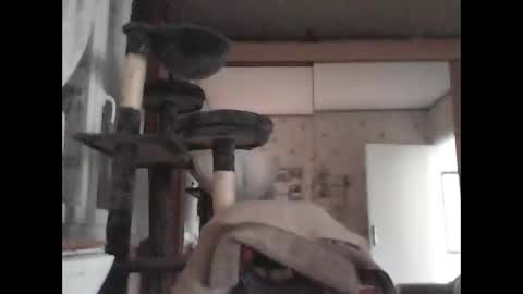 Snapshot of jojo60000529566 chatting on 03.04.25 jojo60000529566 online show from 03.04.25