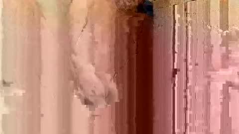 Snapshot of jonathanrossmyers858 chatting on 01.21.25 jonathanrossmyers858 online show from 01.21.25