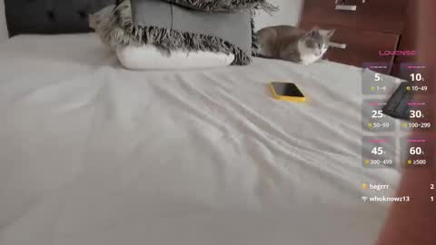 Will online show from 03.25.26