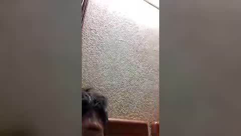 joselin2313 online show from 07.28.26