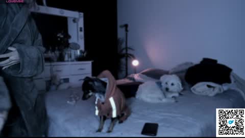 josephine   independent model    online show from 01.21.25