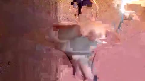 juan575390 online show from 12.17.24