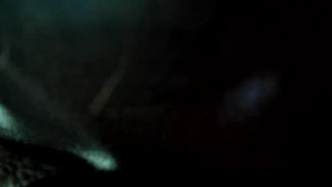 Juan Manuel online show from 05.24.26