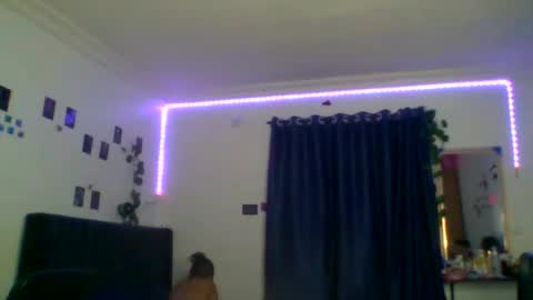 Emily online show from 02.16.26