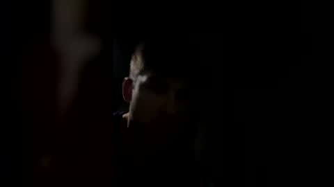 Snapshot of jul061007 chatting on 03.15.26 jul061007 online show from 03.15.26