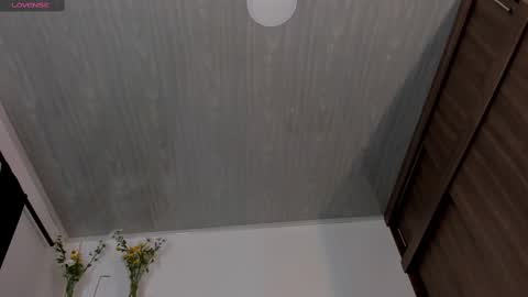 Snapshot of juli_hairy chatting on 03.11.25 Juli Modelo Independiente online show from 03.11.25