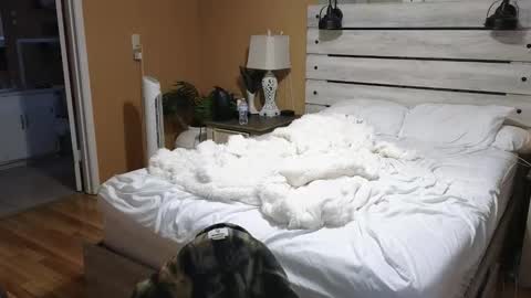 Snapshot of julianaxxxrose chatting on 02.06.26 Texas Mamasita online show from 02.06.26