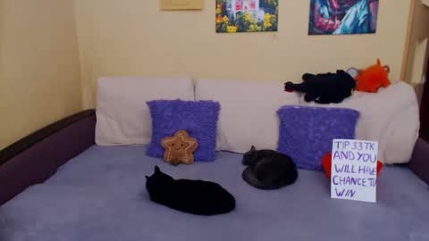 Jul online show from 11.04.25