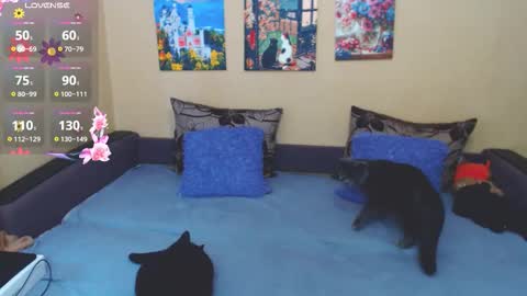 Jul online show from 03.04.26