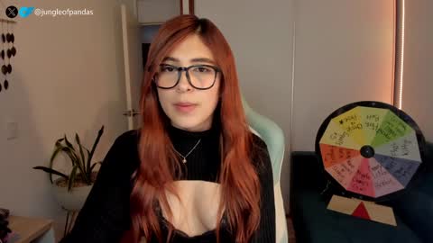 Snapshot of jungleofpandas chatting on 12.09.24 Call me Sussy  online show from 12.09.24