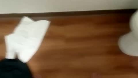 manolito online show from 01.19.25