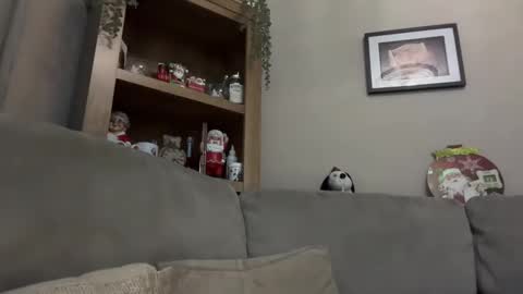 Snapshot of junky345 chatting on 12.13.24 Junky online show from 12.13.24