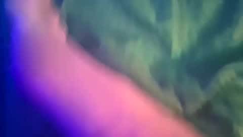 Yuri online show from 03.08.25