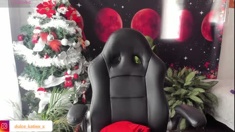 Snapshot of just_katiex chatting on 12.31.24 Sofia online show from 12.31.24