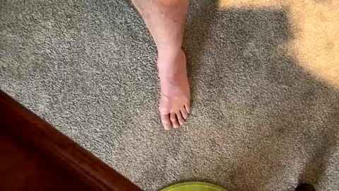 justanudedude online show from 12.05.24