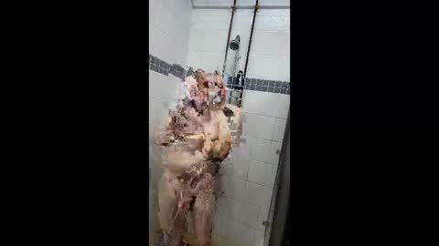 Just a Toy Soldier online show from 04.07.26