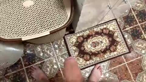 Snapshot of justin950116 chatting on 12.15.25 justin950116 online show from 12.15.25