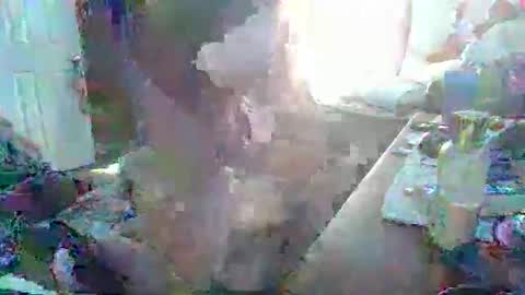 justintyme911128278 online show from 03.19.26