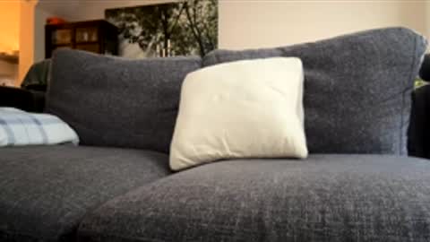 Kevin online show from 12.04.25