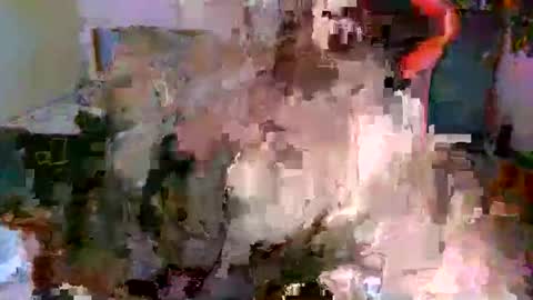 juteja online show from 10.13.25