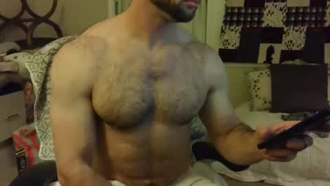 Wolf online show from 02.07.25