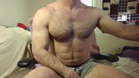 Wolf online show from 03.10.25