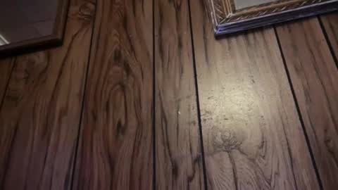 Kac online show from 11.08.25