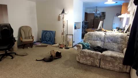 Kaiku77 online show from 01.05.26