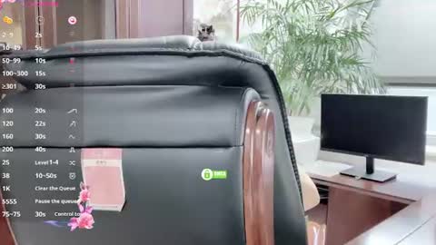Kaixin online show from 06.13.26