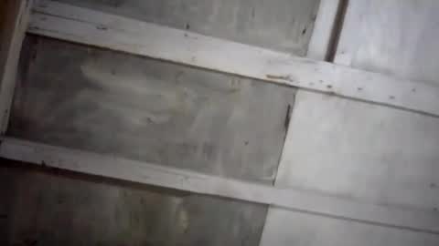 Snapshot of kakaroto30102 chatting on 02.17.25 kakaroto30102 online show from 02.17.25