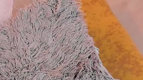 Snapshot of kalimonroee chatting on 01.26.25 KaliMonroe online show from 01.26.25