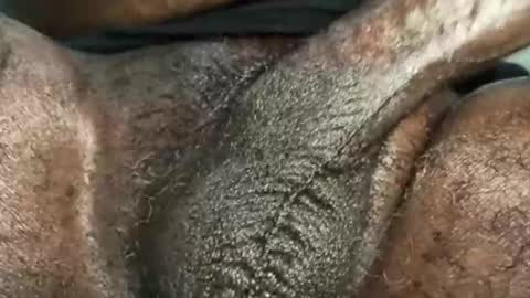 Snapshot of karadi5 chatting on 12.04.24 Snookie online show from 12.04.24