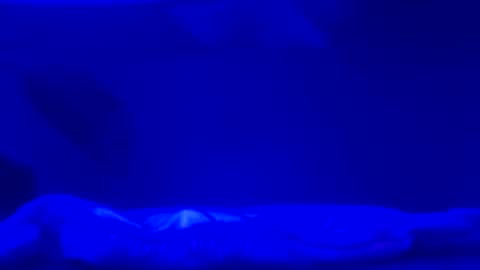 Snapshot of karla_gonzaless chatting on 11.02.25 Karla Gonzaless online show from 11.02.25