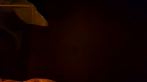 Snapshot of karla_gonzaless chatting on 11.04.25 Karla Gonzaless online show from 11.04.25