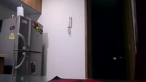 Snapshot of karla_gonzaless chatting on 11.07.25 Karla Gonzaless online show from 11.07.25