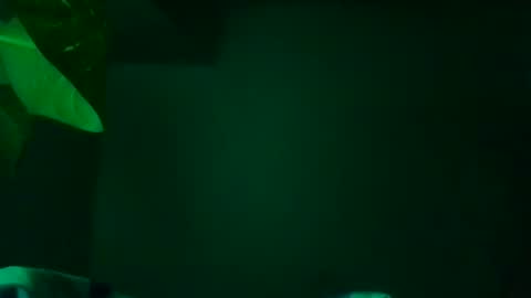 Snapshot of karla_gonzaless chatting on 11.13.25 Karla Gonzaless online show from 11.13.25