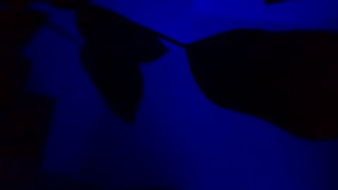 Snapshot of karla_gonzaless chatting on 11.14.25 Karla Gonzaless online show from 11.14.25