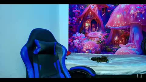    online show from 10.23.25