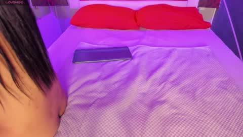 Karol online show from 02.20.26