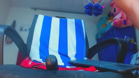 karol online show from 03.01.25