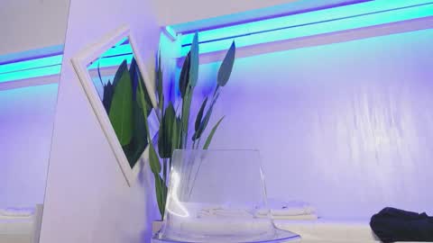 Kasey online show from 03.01.26