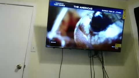 kashmoniy online show from 02.11.25