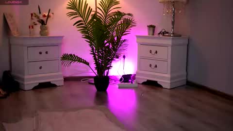 Snapshot of kassidyvibe chatting on 02.11.26 Kassidy online show from 02.11.26