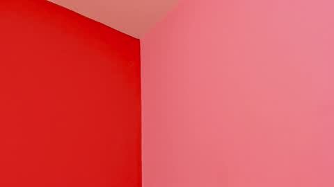 Kate  online show from 02.22.26