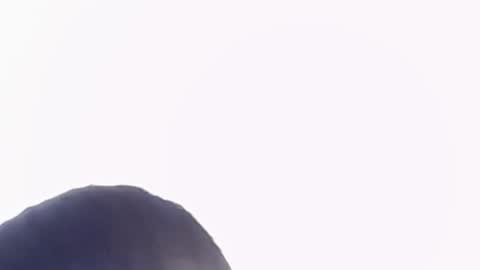 Help me with rate thanks  online show from 11.22.25