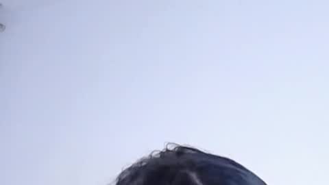 Help me with rate thanks  online show from 01.17.26