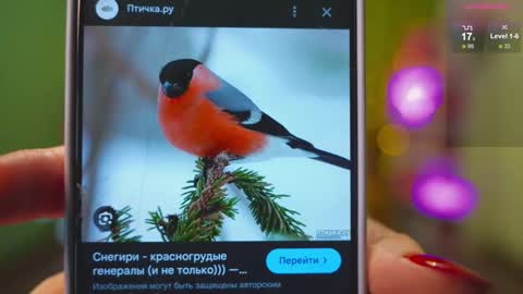 Katy      -    online show from 02.21.25